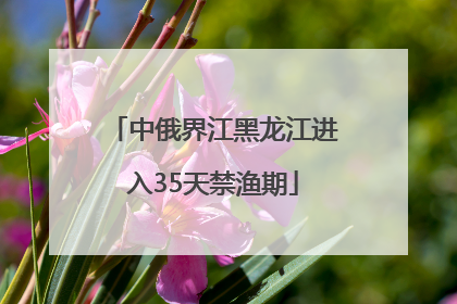 中俄界江黑龙江进入35天禁渔期